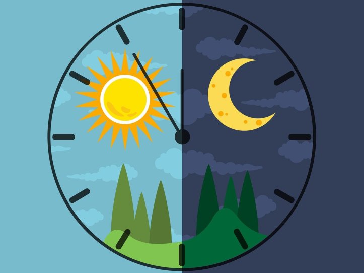 Le rythme circadien, l'horloge qui régule notre sommeil